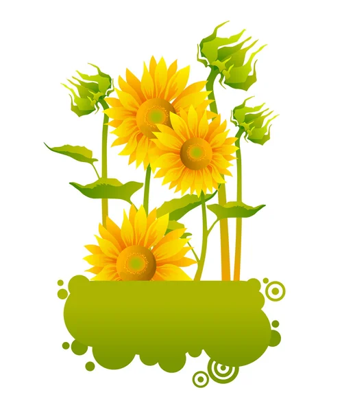 Mooie gele zonnebloemen — Stockvector