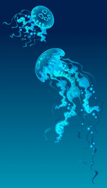 水母在蓝色的背景 — 图库矢量图片#