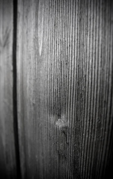 Detailní Makro Snímek Dřeva Abstraktní Kompozice — Stock fotografie