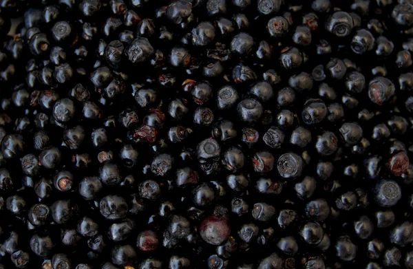 Black berries — Stock Photo, Image