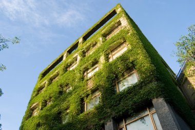 Building covers by real green plants clipart