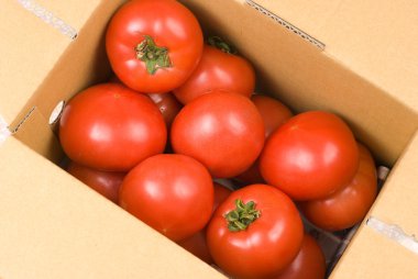 Fresh red tomatoes in paper box clipart