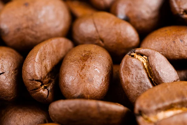 Повний кавових зерен — стокове фото