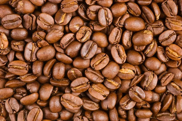 Plein de grains de café — Photo