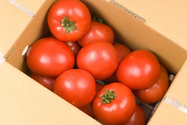 Свежие помидоры в бумажной коробке — стоковое фото