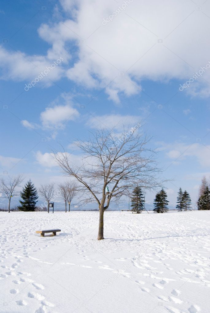 Footprint in the snow, bald tree and vacant chair
