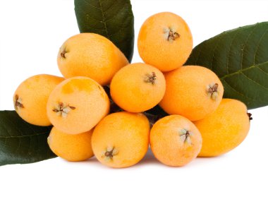Group of loquat fruits isolated on white background clipart