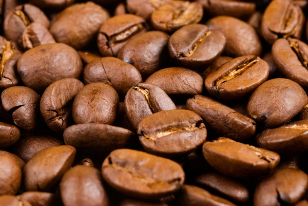 コーヒー豆の完全 — ストック写真