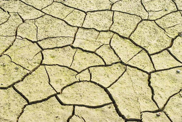 A terra seca foi rachada . — Fotografia de Stock