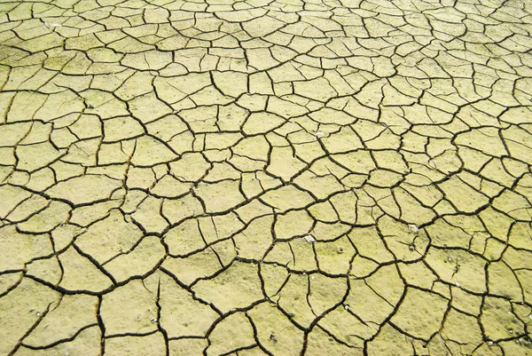 A terra seca foi rachada . — Fotografia de Stock