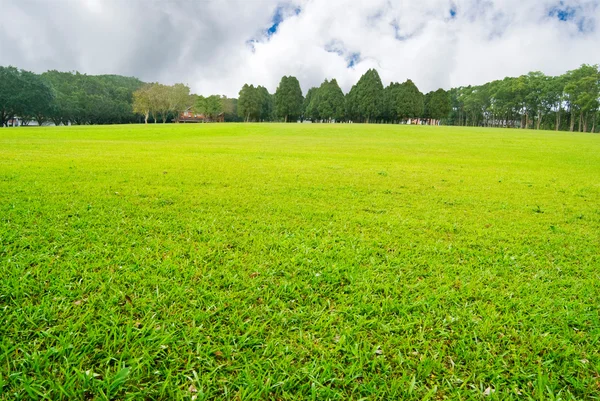 stock image Soft GGreen plain with trees