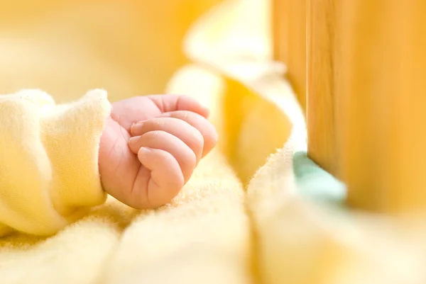 Lovely Little Clenched Hand Infant Hand Baby Bed Wooden Fence — Stock Photo, Image