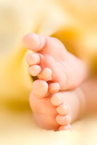Säuglingszehen hintereinander — Stockfoto
