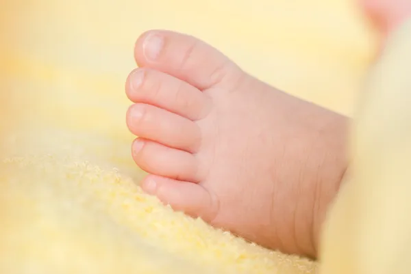 Beau pied de bébé . — Photo