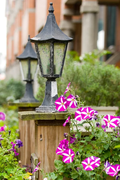 Klassieke Oude Tuin Lamp Met Bloeiende Kleurrijke Petunia Bloemen — Stockfoto