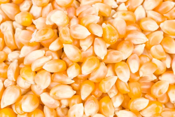 Ingrediente del maíz pop —  Fotos de Stock