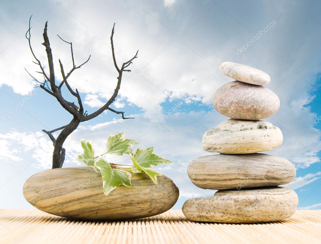Zen concept, stack pebbles, green leaf and dead tree.