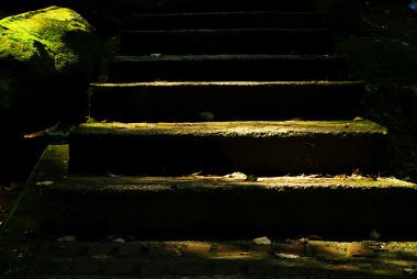 Stone steps with green moss and sunlight clipart