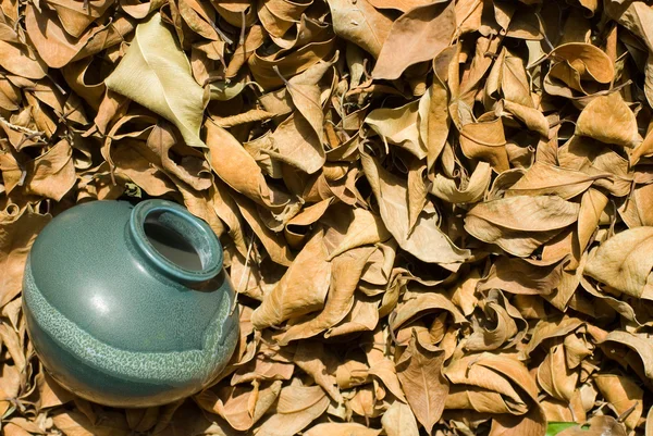 Dried-up fallen leaves with old chinese pottery. — Stock Photo, Image