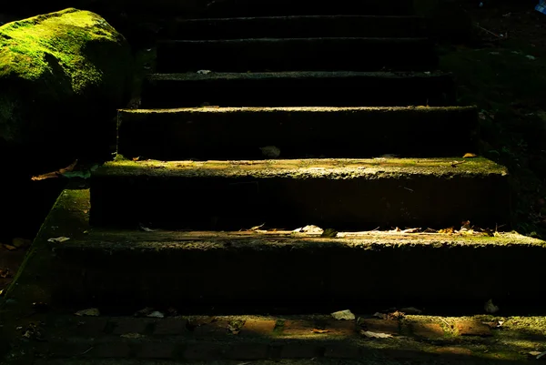 stock image Stone steps with green moss and sunlight
