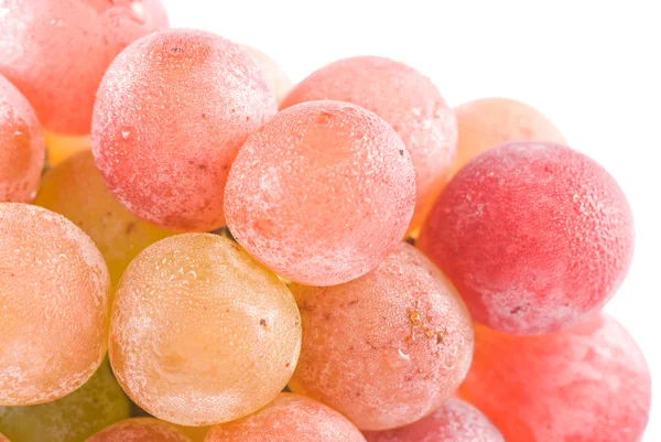 Izole kırmızı üzüm meyve — Stok fotoğraf
