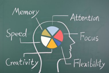insan beyninin içinde altı yetenek kavramı