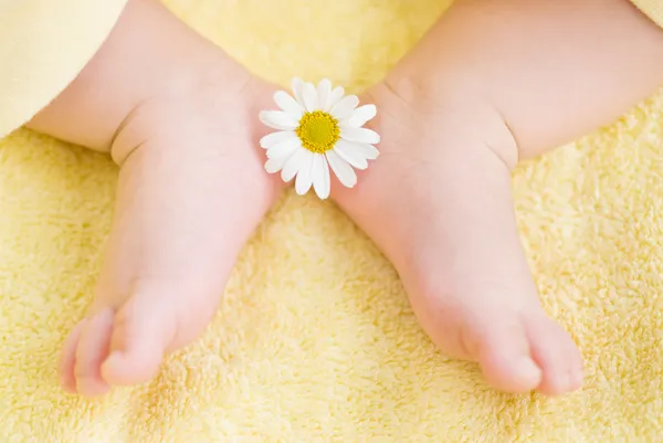 Beau pied d'enfant avec petite marguerite blanche — Photo