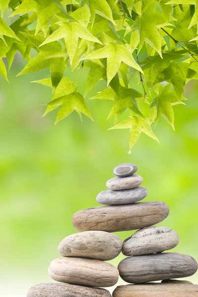 Conceito Zen, folhas verdes frescas e seixos — Fotografia de Stock