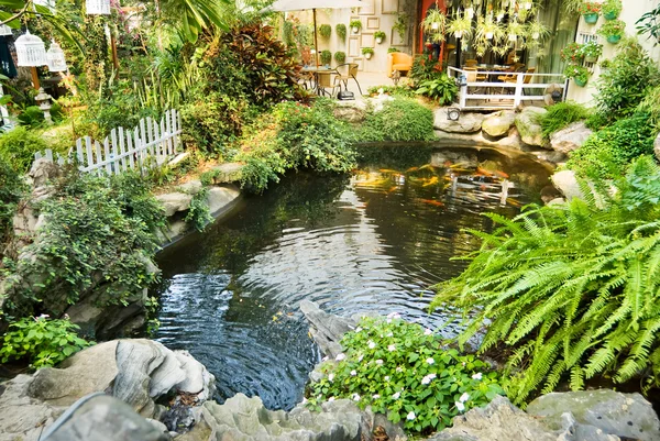 Beautiful garden with Japanese carps in the pool
