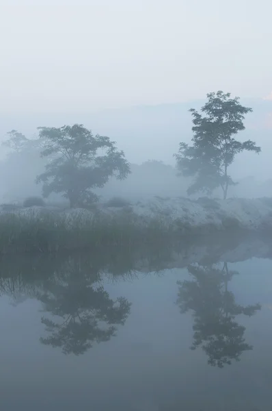 Foggy river-bank — Stock Photo, Image