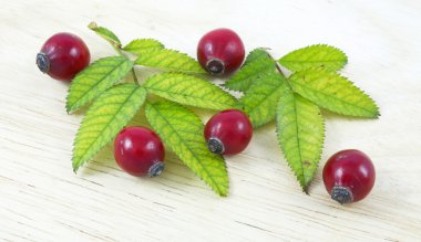 Rose hip still life clipart