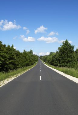 Straight main road leads across the forest clipart