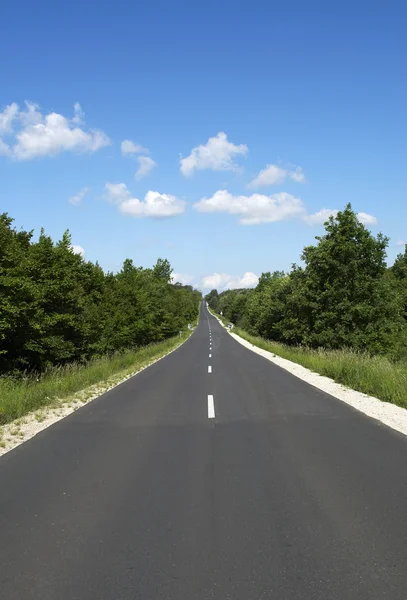 stock image Straight main road leads across the forest