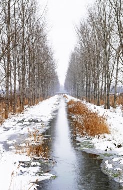 Creek between two avenues near Szigliget in a snowy day, Hungary clipart