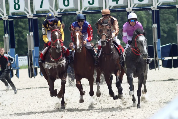 Horse racing. Stock Photo
