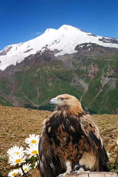 Elbrus. — Zdjęcie stockowe