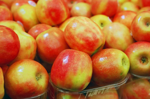 Primer plano de manzanas — Foto de Stock