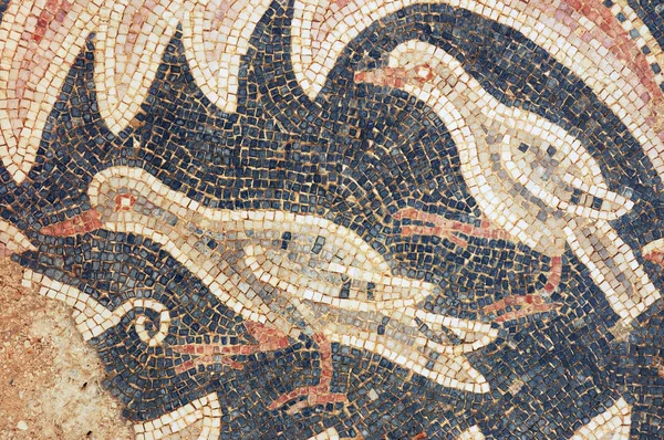 Close up of fragment of antique mosaic — Stock Photo, Image