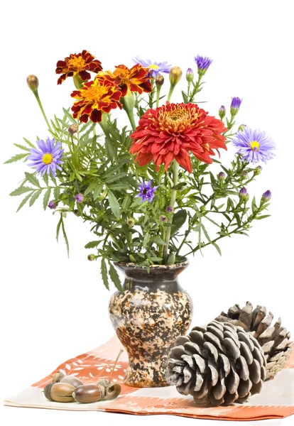 Bouquet of autumn flowers, buds and acorns. — Stock Photo, Image