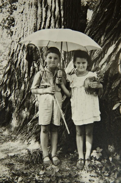 弟弟和妹妹在树林里散步 — 图库照片