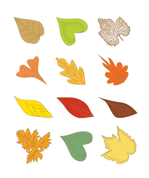Elementos de diseño de hojas — Vector de stock