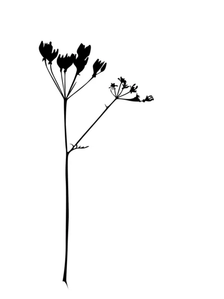 Квітка силует — стоковий вектор