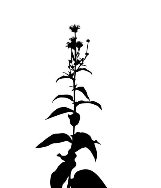 Λουλούδι σιλουέτα — Διανυσματικό Αρχείο