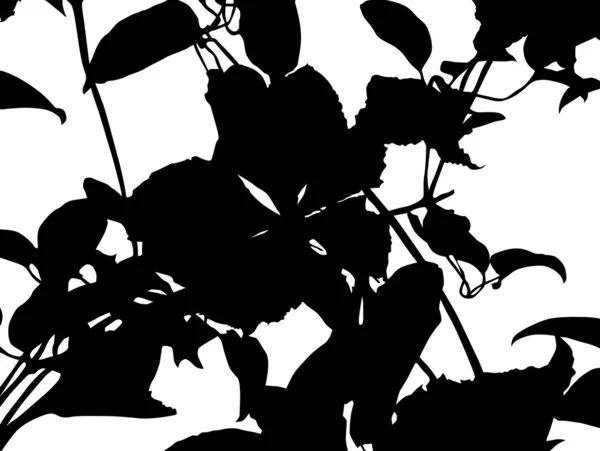 Blomma gren siluett — Stock vektor