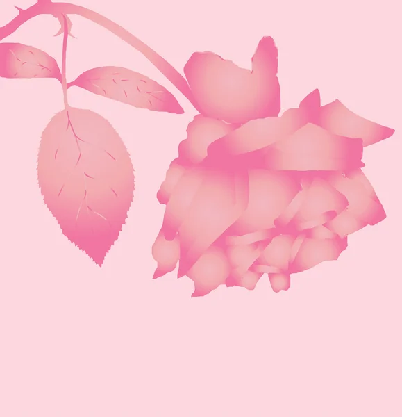 花卉卡的生活事件 与美丽的玫瑰粉红颜色的文本的空间 — 图库矢量图片