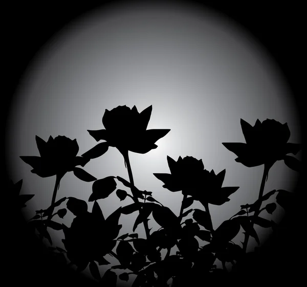 Invitation Florale Pour Des Événements Vie Avec Belles Roses Noires — Image vectorielle
