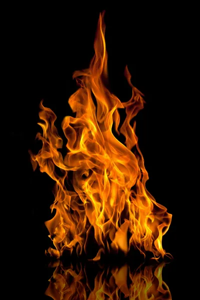 Eld lågor Royaltyfria Stockbilder