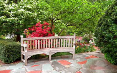 Romantic wooden bench in the beautiful azalea garden clipart