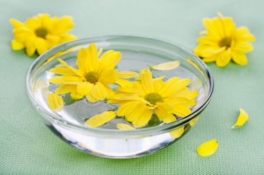 cam kase sarı çiçek