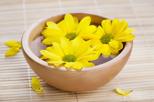 stock image Yellow flowers in wooden bow